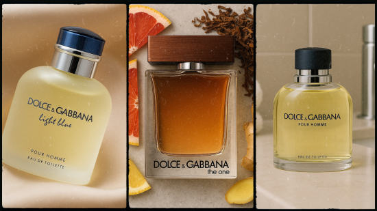 Best dolce and gabbana cologne