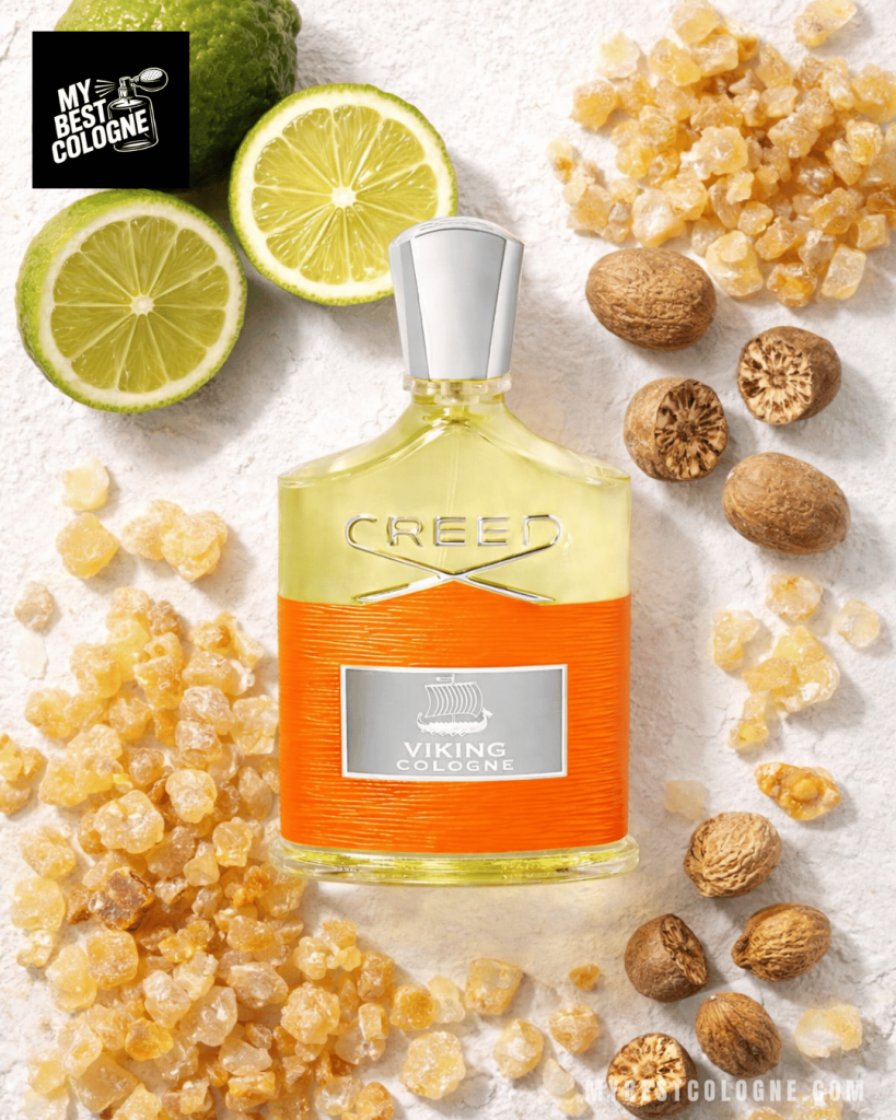 cologne aromatic fougère
